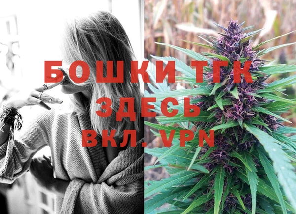 соль ск Богданович