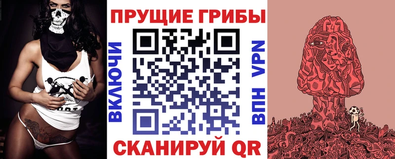Псилоцибиновые грибы Cubensis  ссылка на мегу   Бузулук 