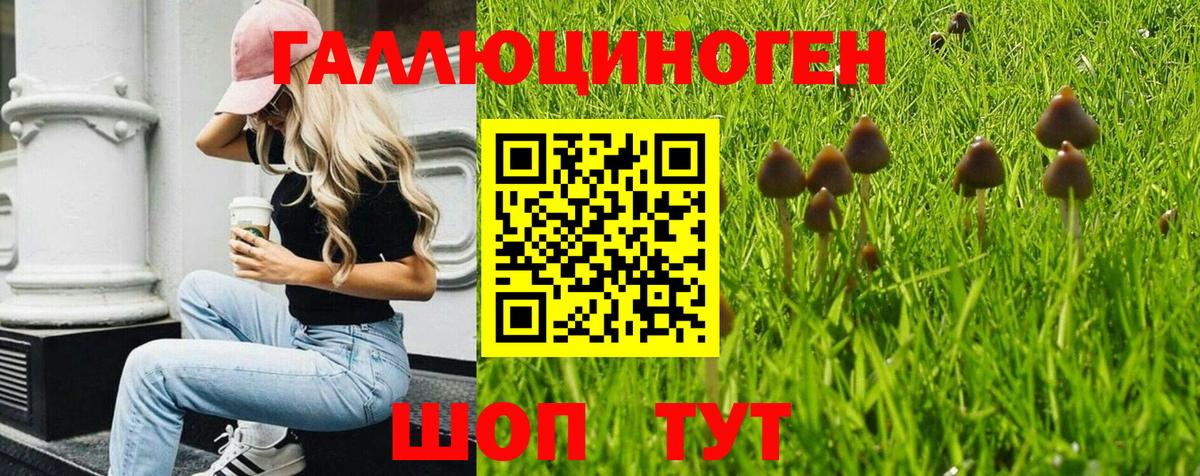 Галлюциногенные грибы MAGIC MUSHROOMS Бузулук