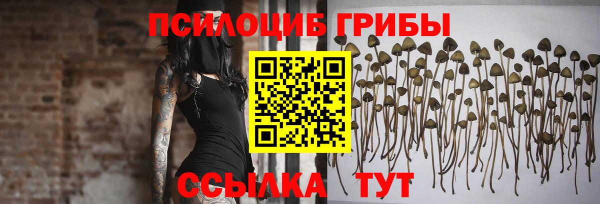 Конопля Бузулук