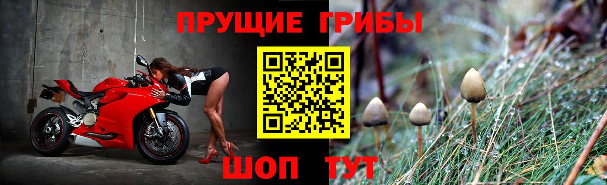 закладки  Галлюциногенные грибы Psilocybe  Бузулук  Галлюциногенные грибы Psilocybine cubensis 